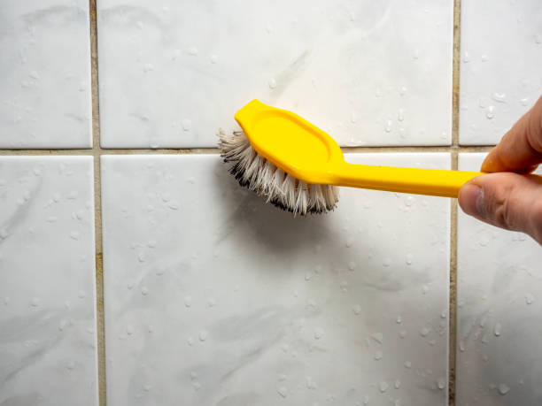 Best Basement Mold Remediation in Hughesville, MD
