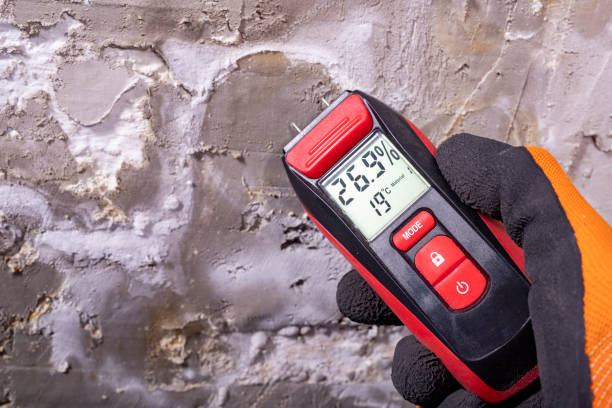 Best Kitchen Mold Remediation in Hughesville, MD