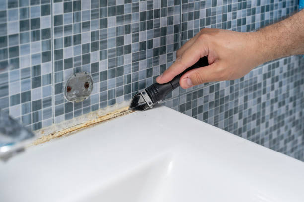 Best Mold Remediation for Specific Building Types in Hughesville, MD
